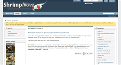 Desktop Screenshot of new.shrimpnow.com